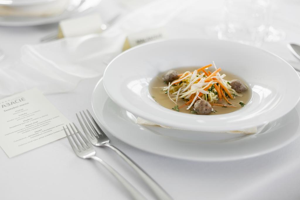 Wellness Hotel Abacie Nový Jičín エクステリア 写真